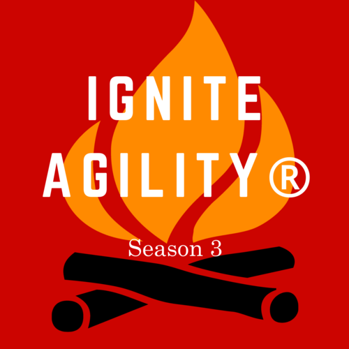 Ignite Agility® Podcast - Why do you hate User Stories? 