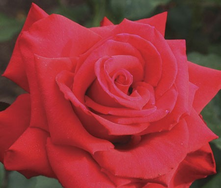 File Jul 11, 12 37 52 PM.jpeg