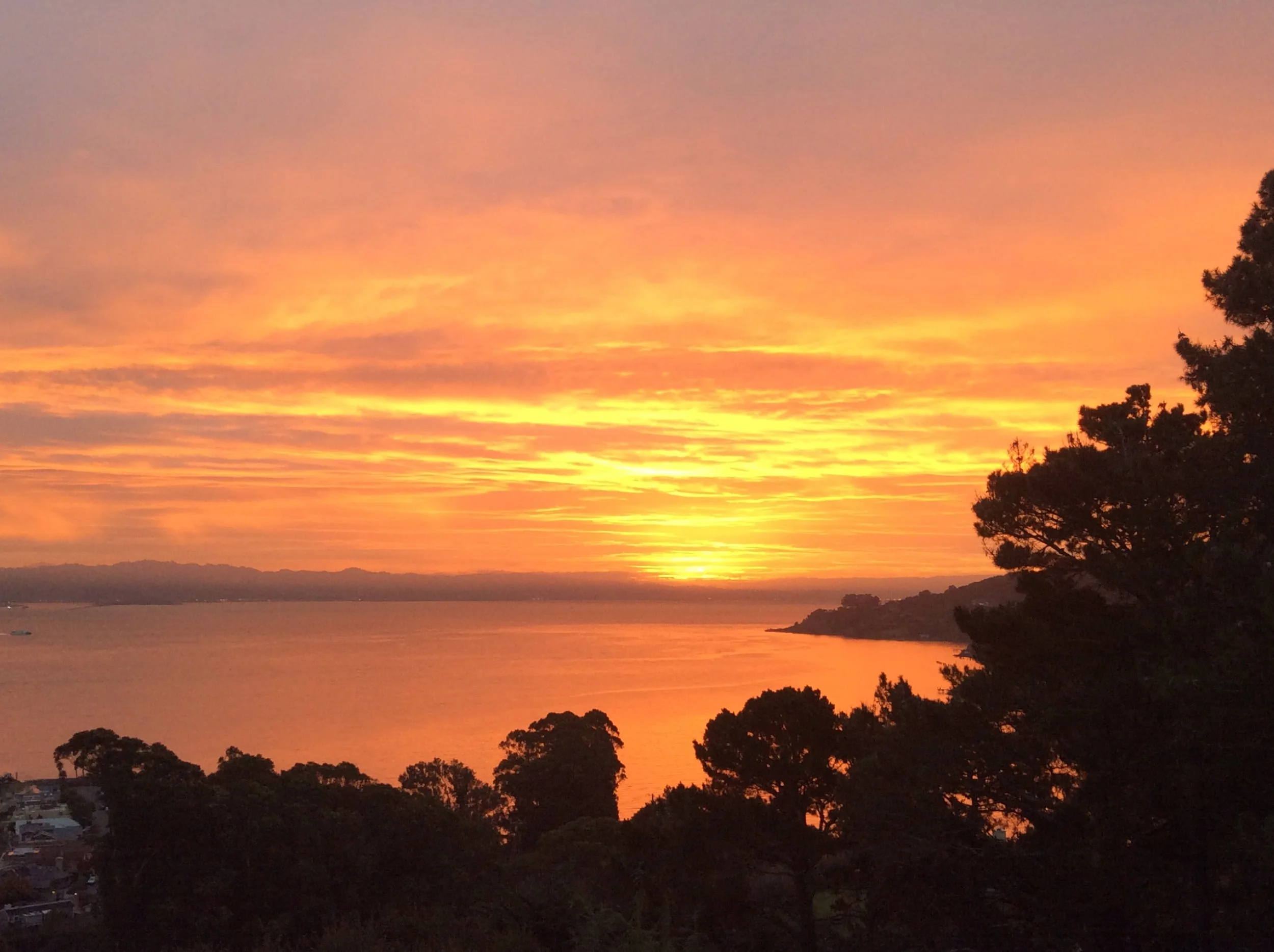 File Nov 30, 7 07 16 AM.jpeg