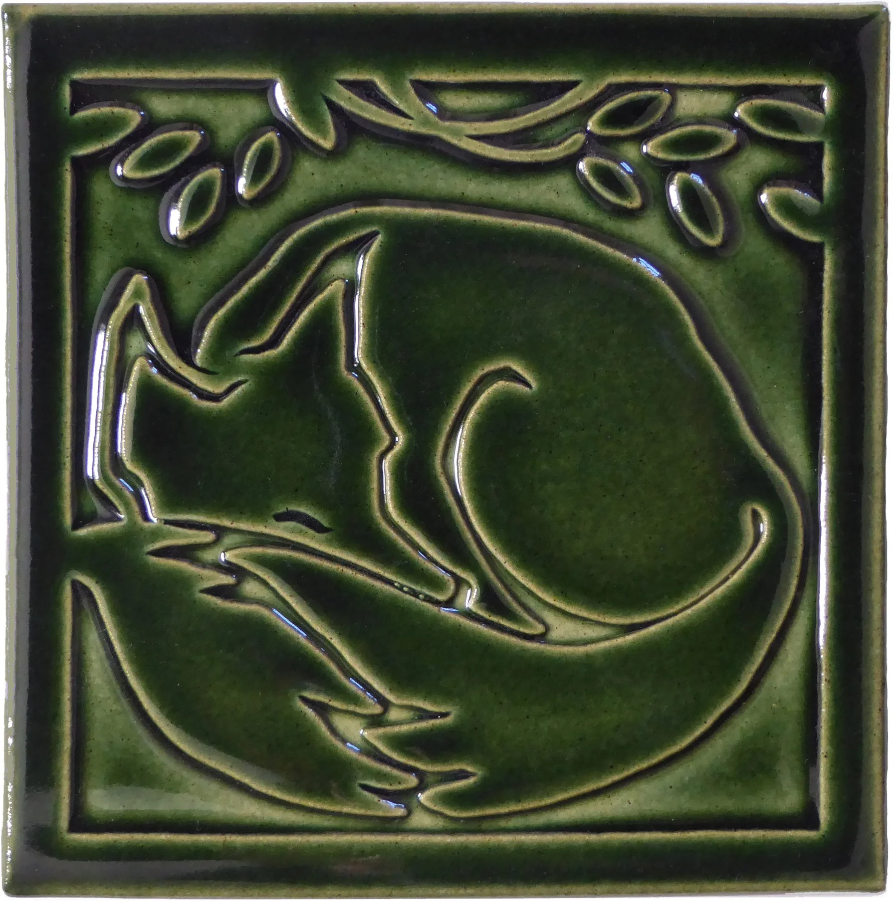 Fox evergreen nc.jpg