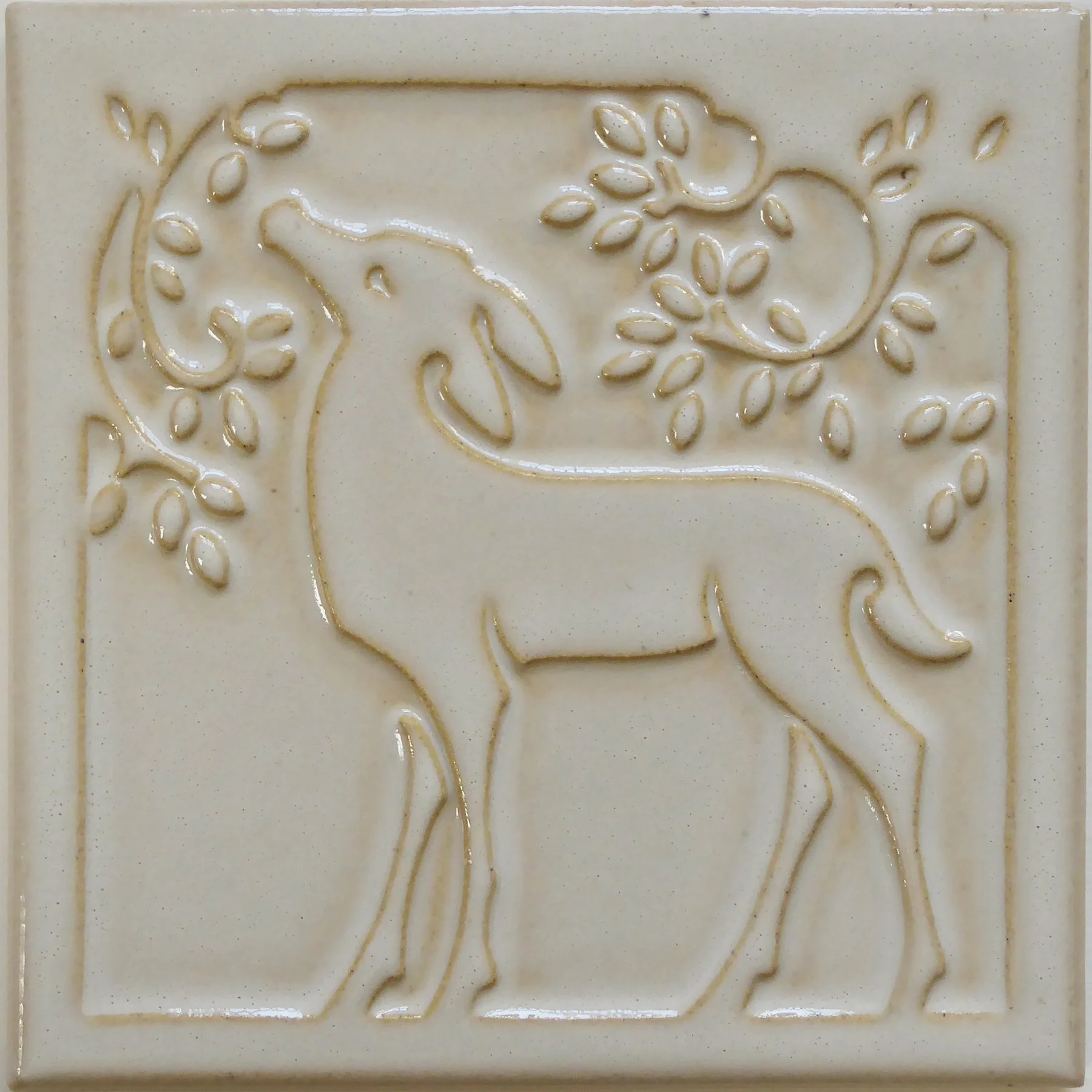 Deer White brighter NC .jpg