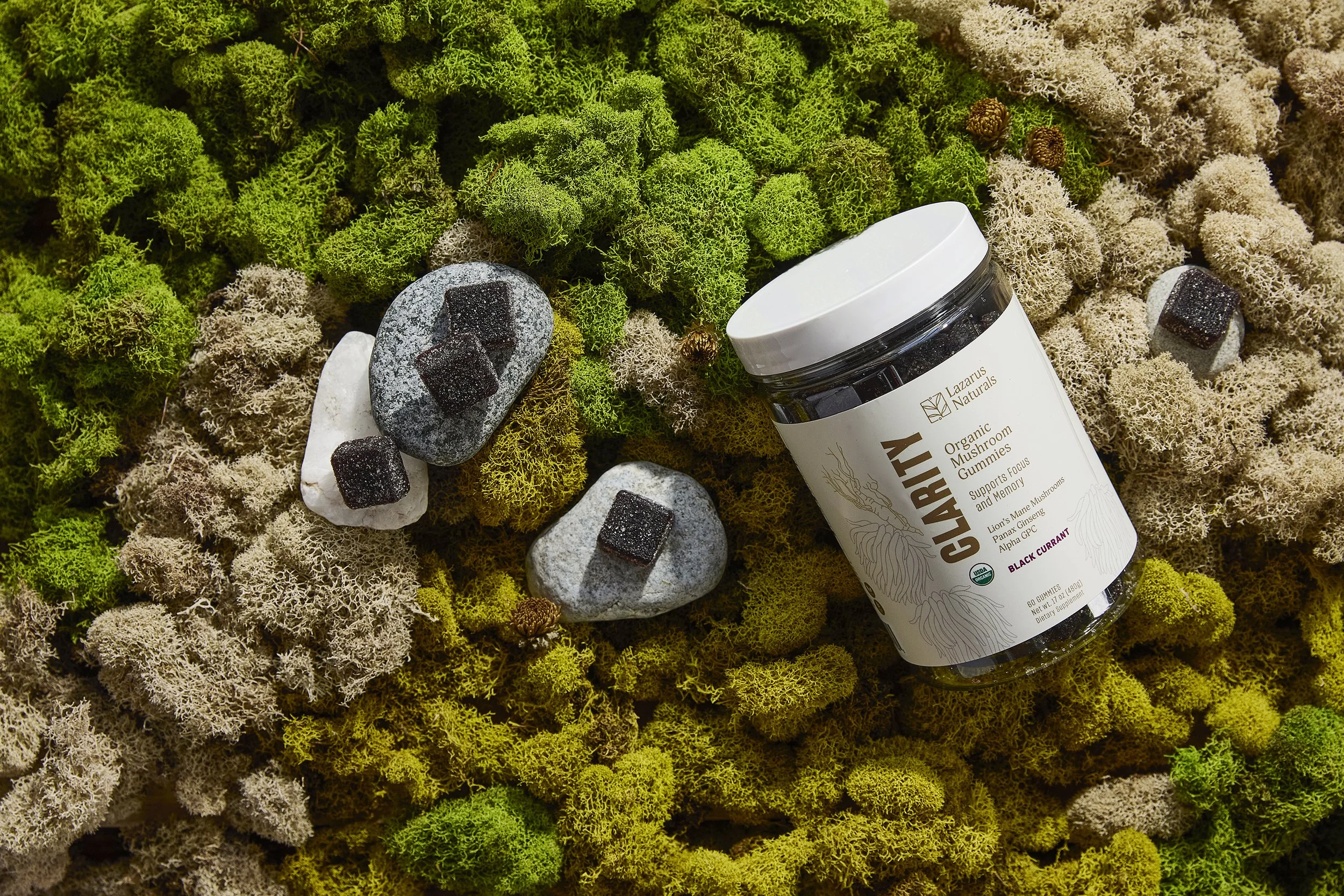 Lazarus Naturals Seattle Product Prop Stylist