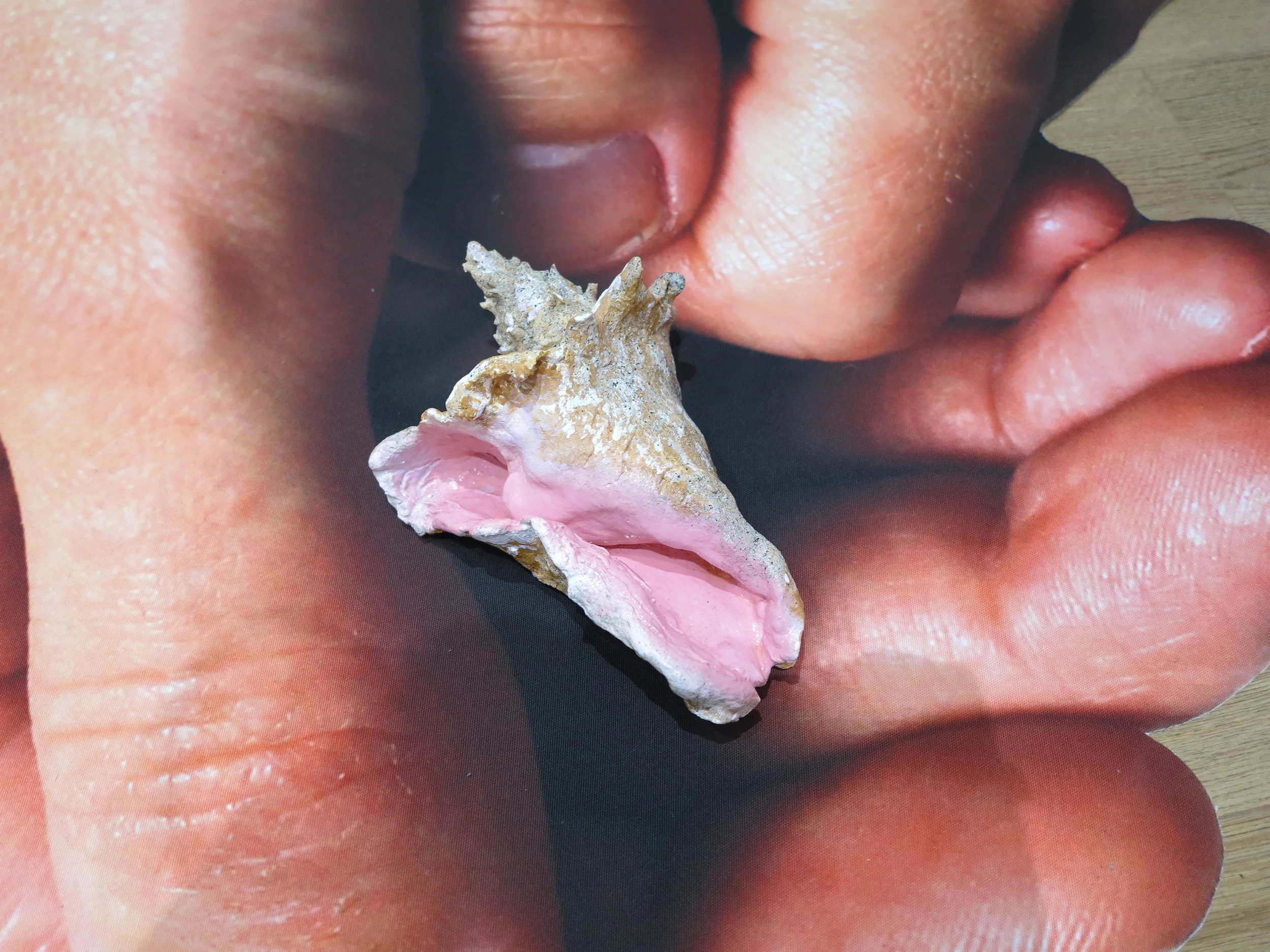  THE EYES THAT FINALLY OPENED TO SEE US DIDN’T BELONG TO US, BUT TO OTHERS (VERSION II)  