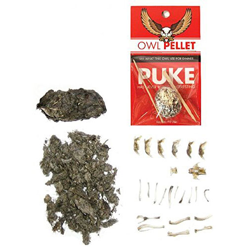 owl pellet open.jpg