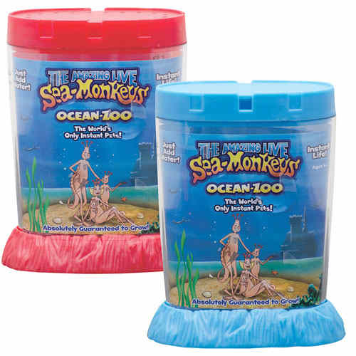 sea monkeys.jpg