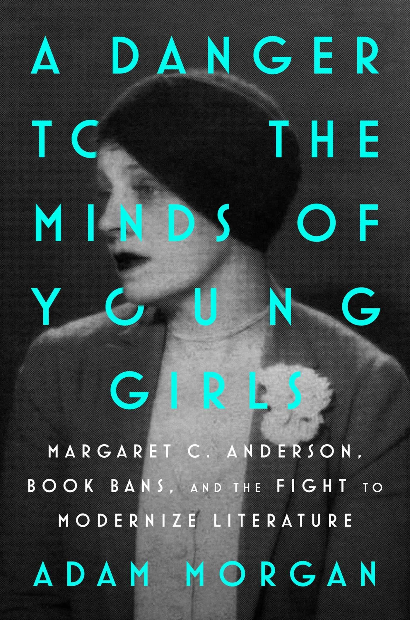 a-danger-to-the-minds-of-young-girls-9781668053645_hr.jpg