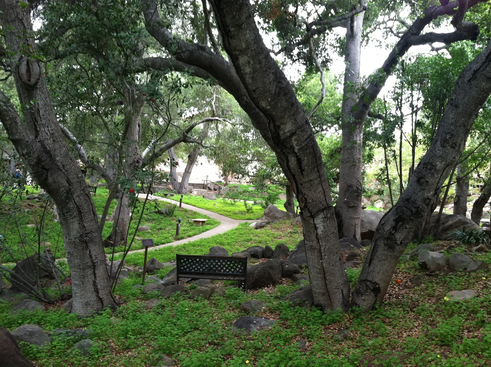 Meditation walk 