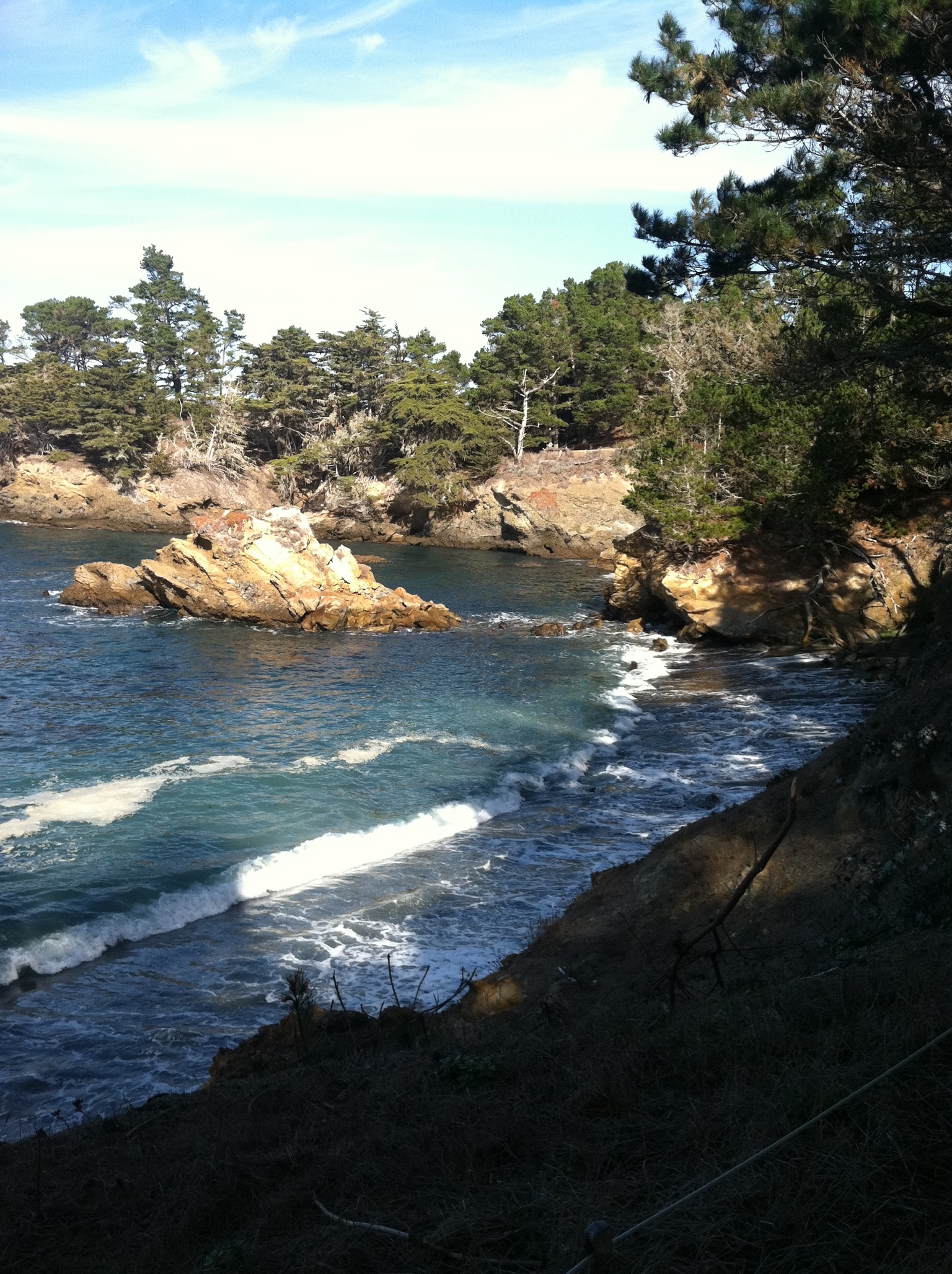 Big Sur, CA (a gorgeous side trip from the retreat)