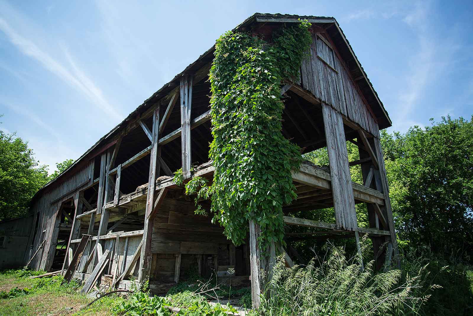  Over time, these wood barns were subjected to extreme temperatures, wind and rain. 