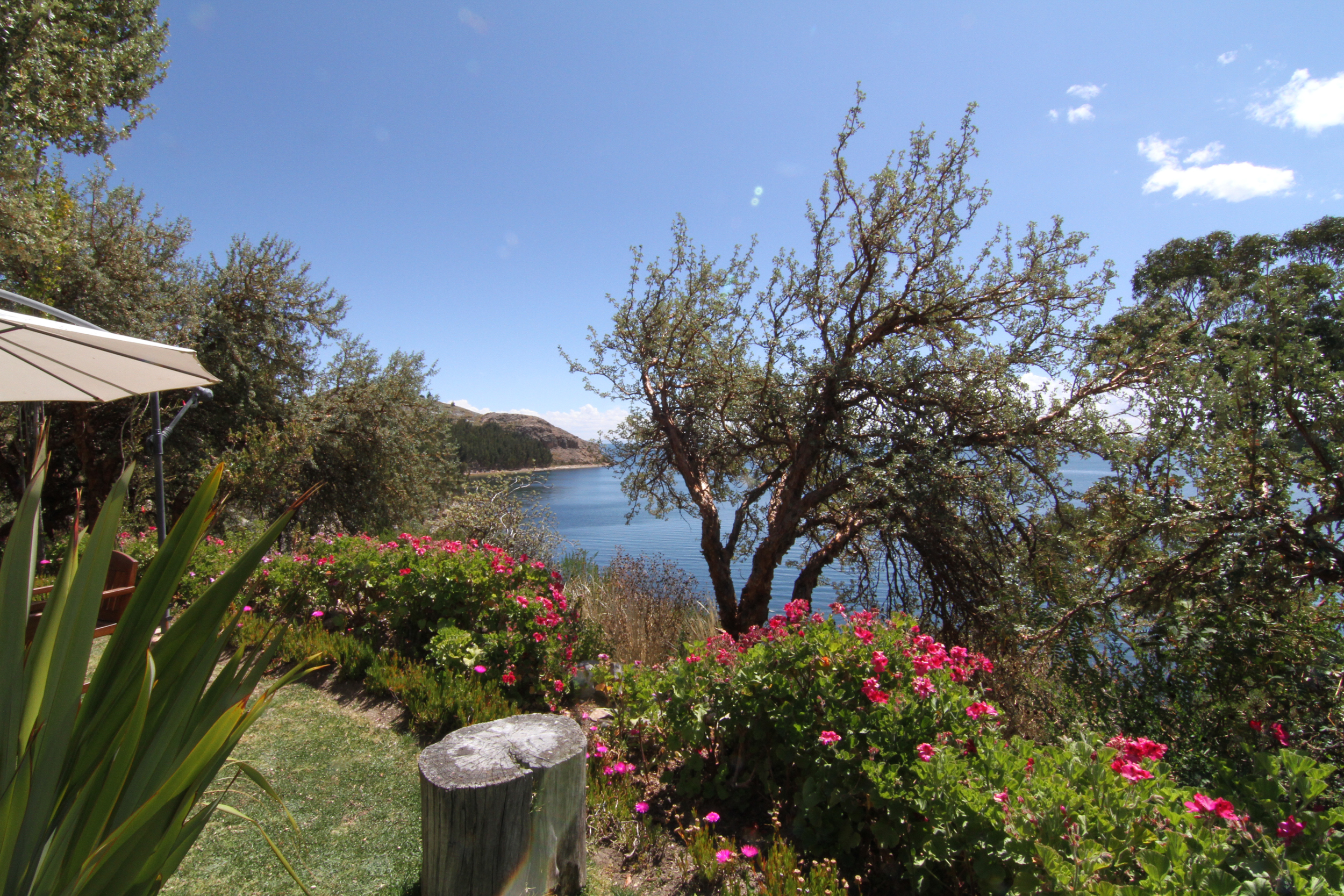 Isla Suasi, Lago Titicaca, Moho, Puno, Perú 