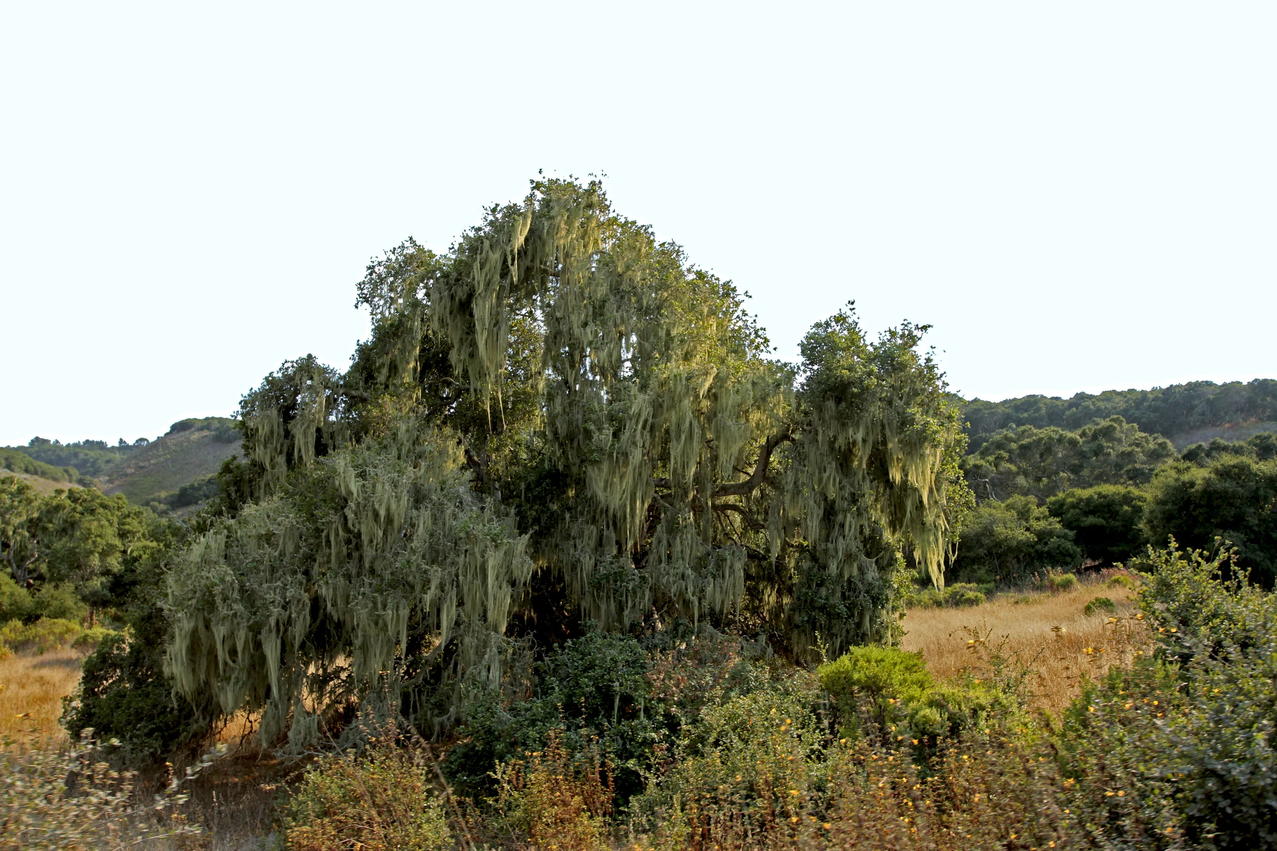 RTMG_8255.jpg