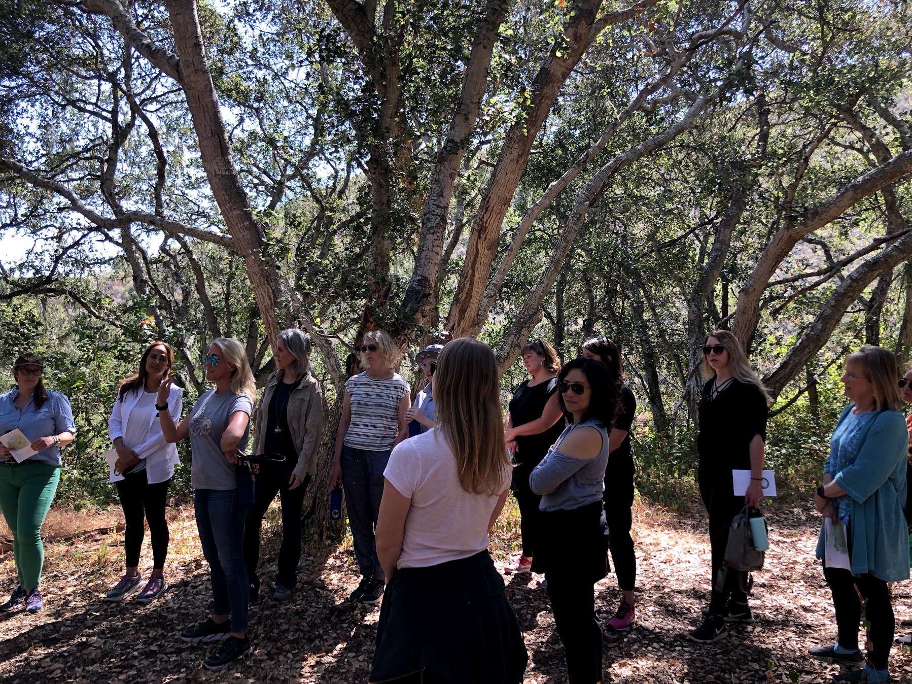 treemeeting.jpg