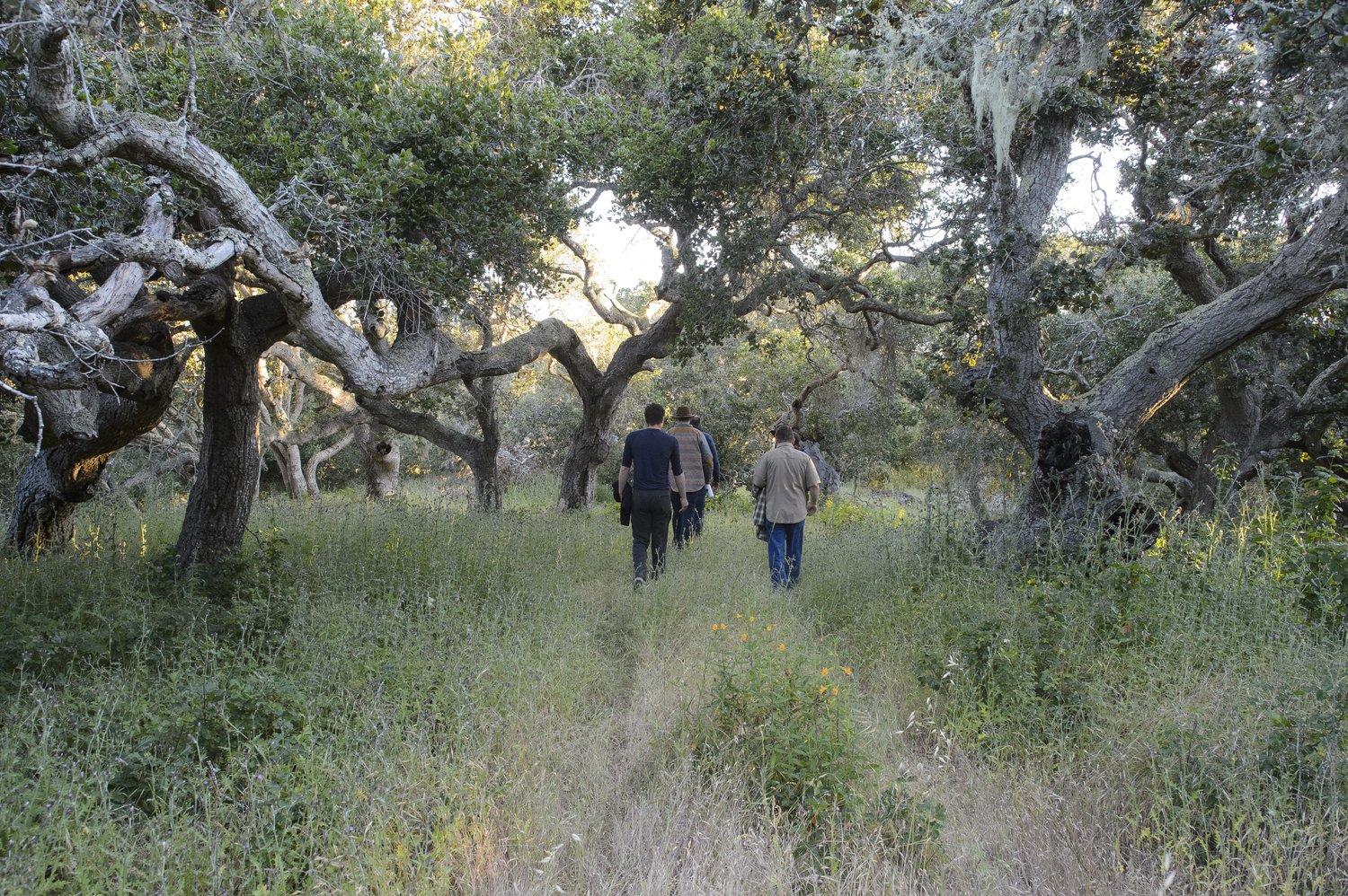 Hiking through nature on one of Walden Monterey's trails. 