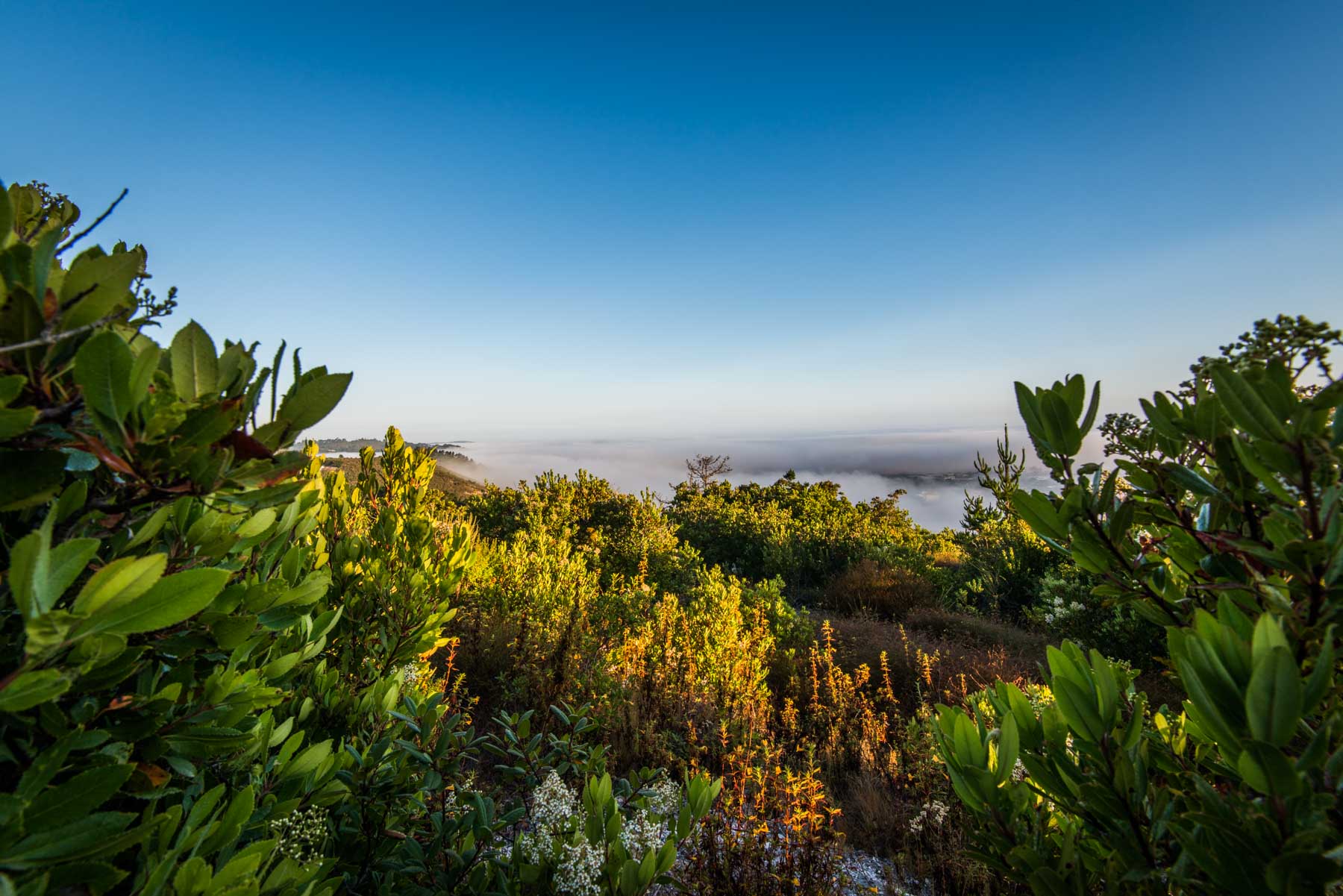 AboveClouds2.jpg