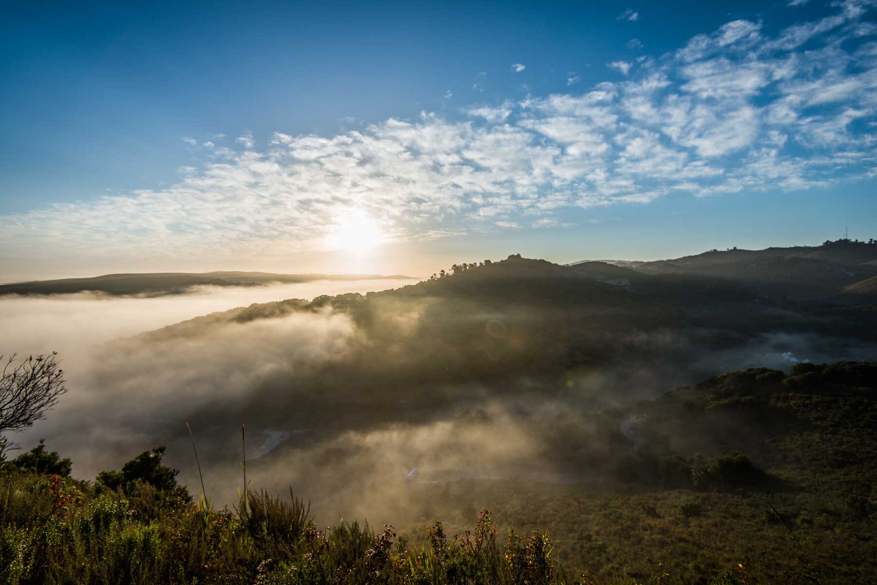 Inclusive Social Enterprises