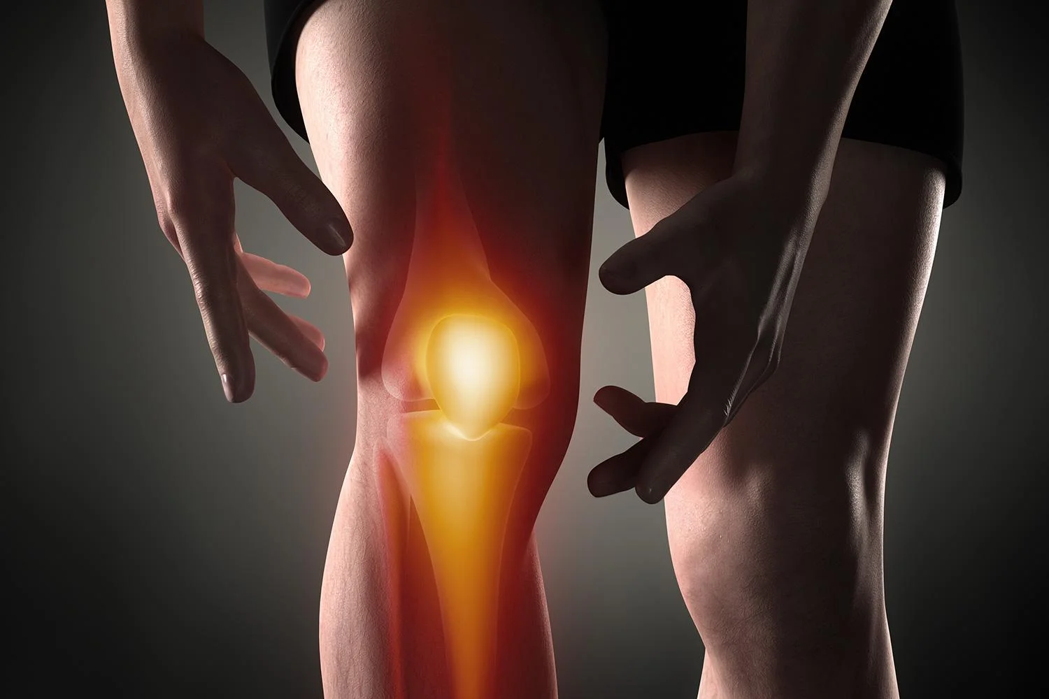 knee-joint.jpg