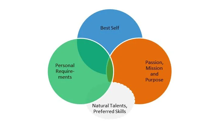 When you don't use your PREFERRED skills, work's a chore (at any salary)