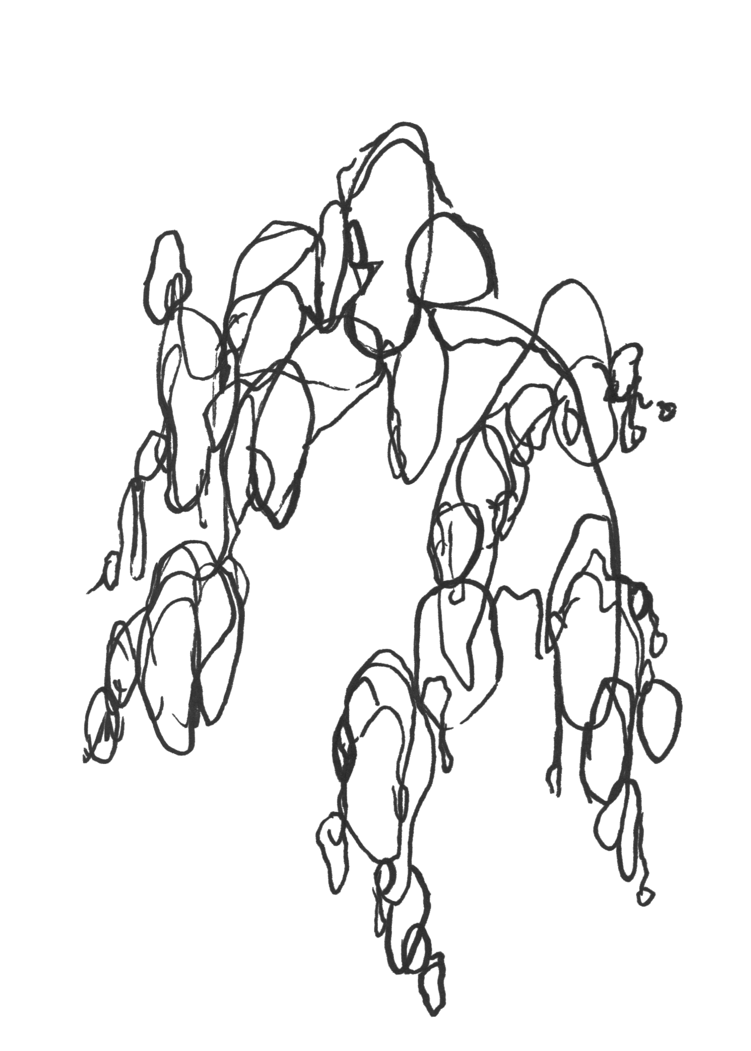 12.png