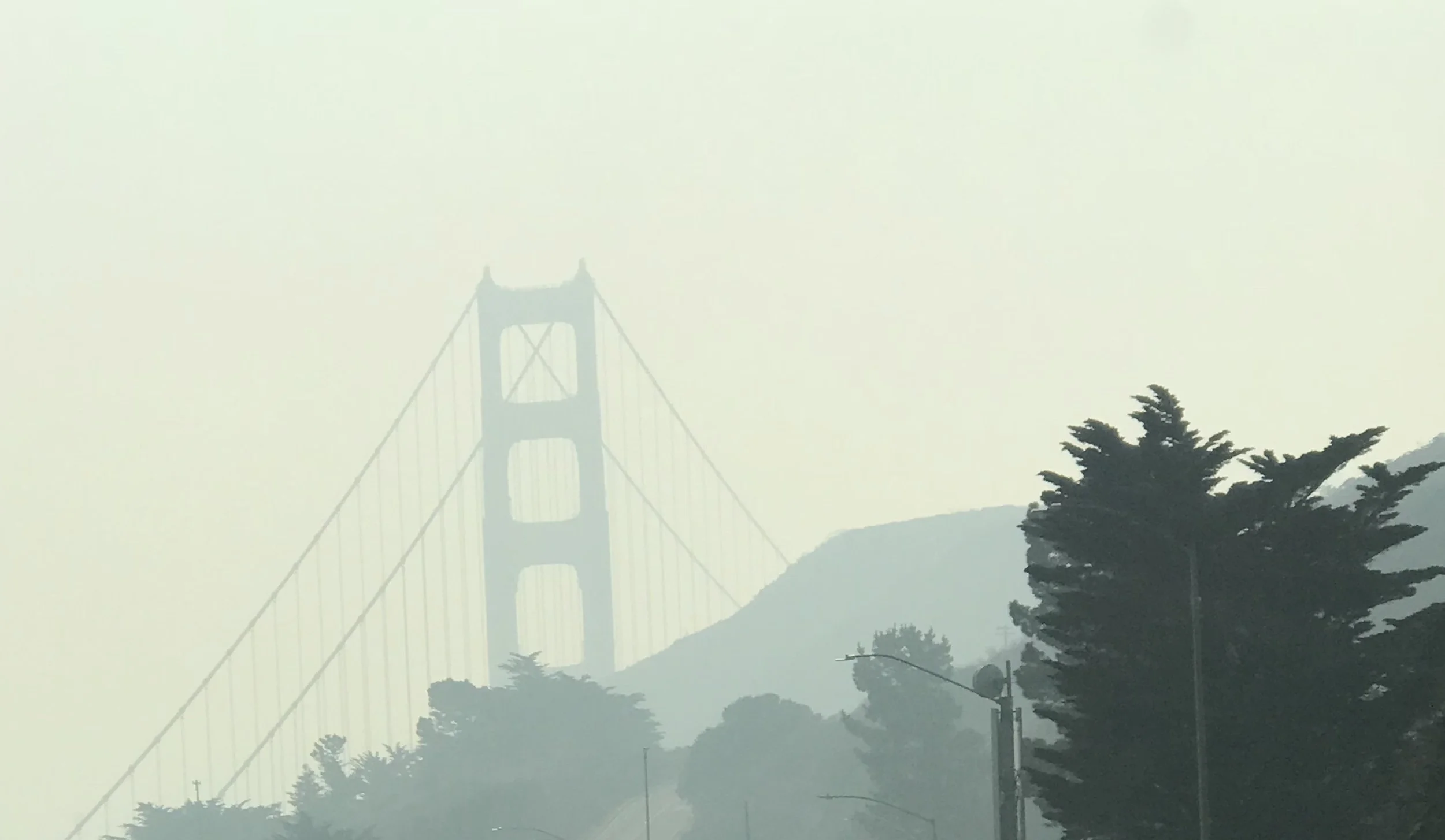 Health Alert : Preventing Damage from Wildfire Smoke