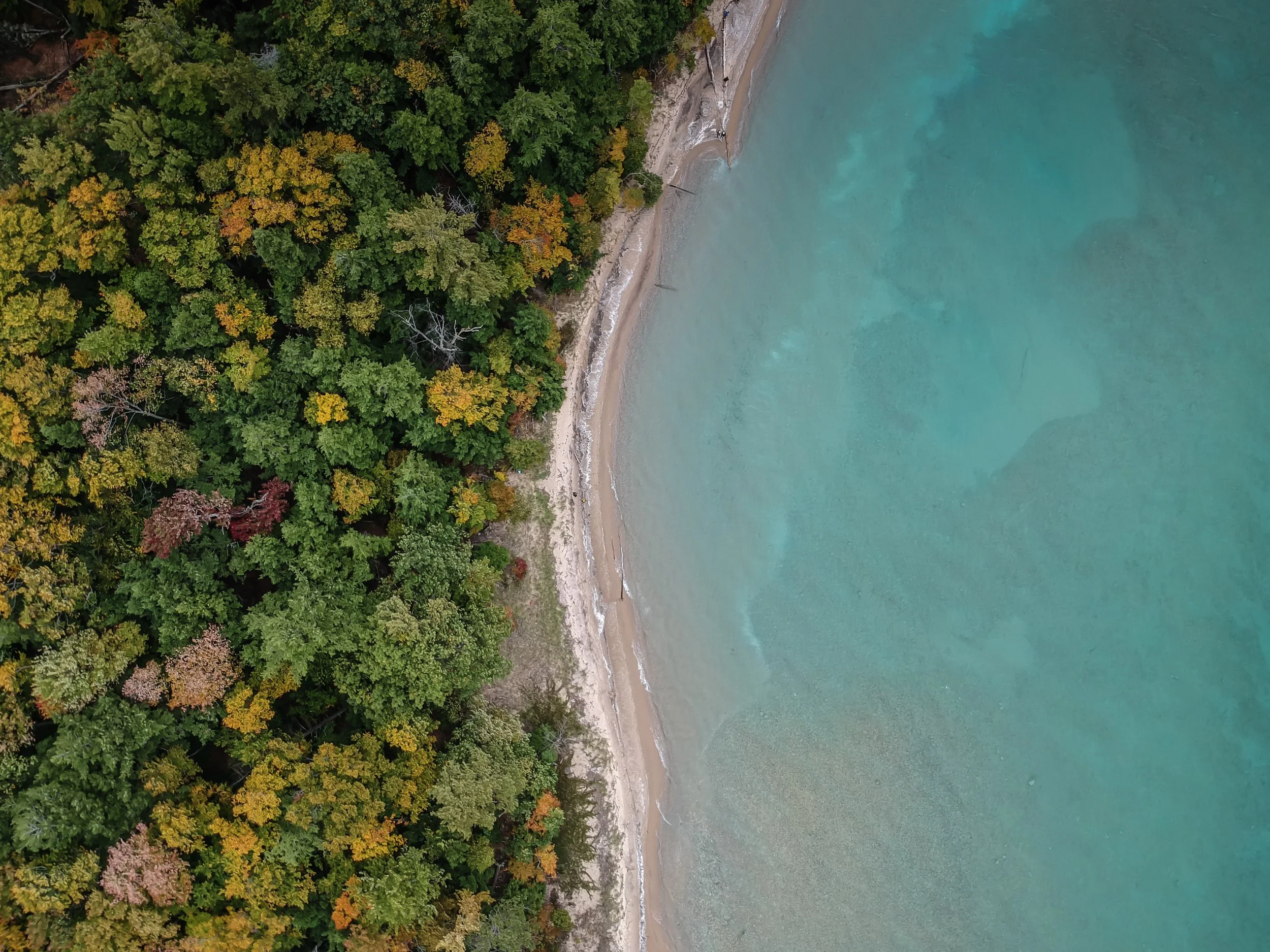 Environmental toxins cause infertility and other health issues.