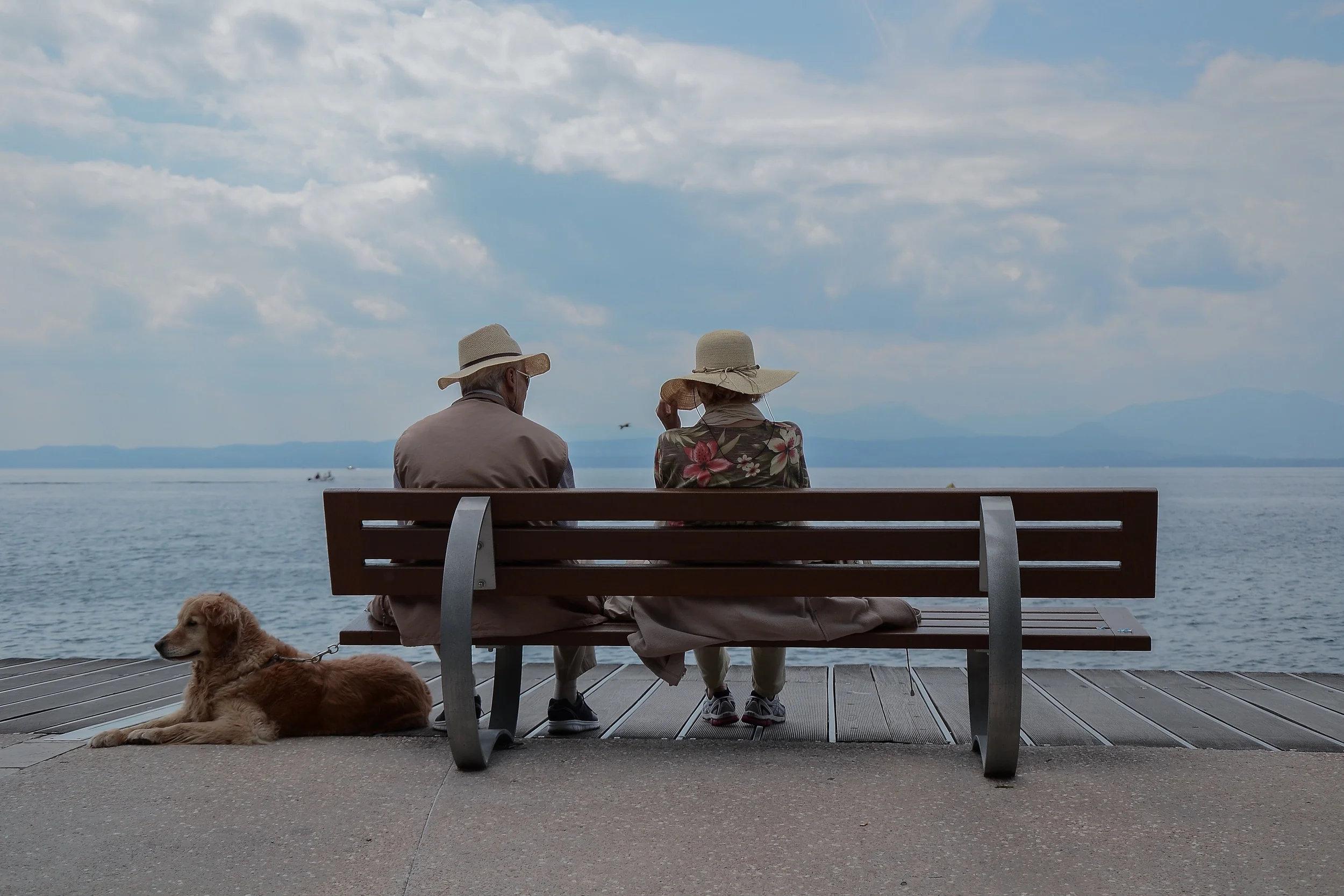 Image courtesy of Unsplash