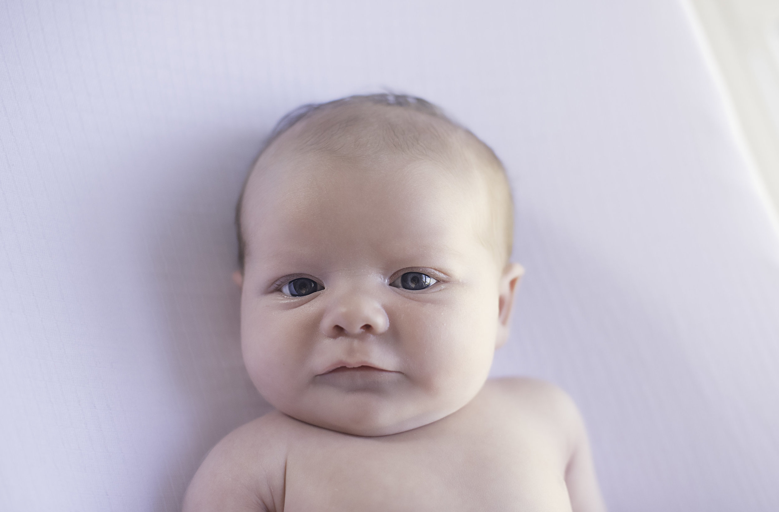 Leo | Lifestyle Newborn Collection