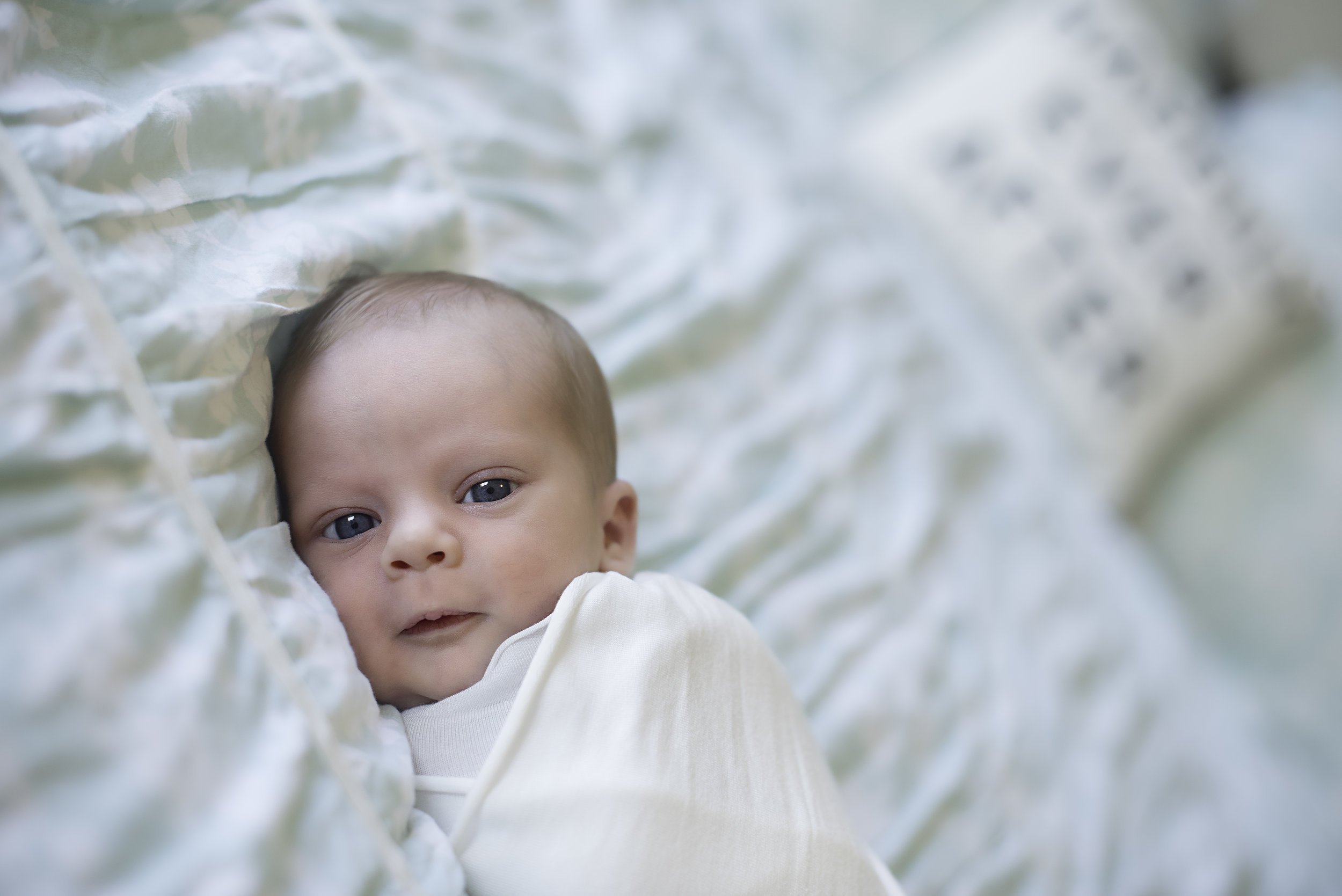 The S Family | Lifestyle Newborn Collection
