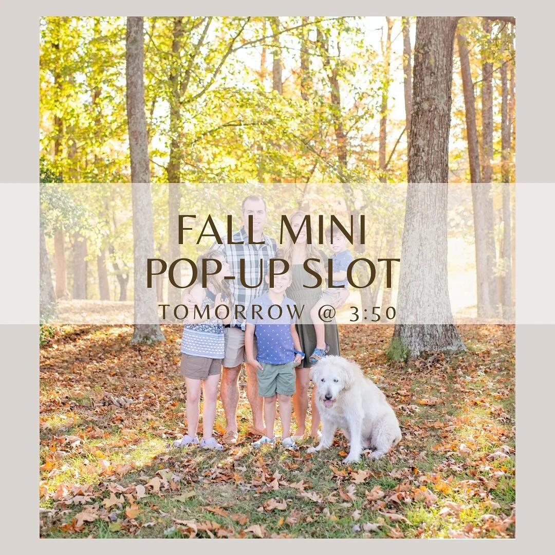 Pop-up slot for tomorrow, 3:50pm. Reach out to grab it✨ the leaves are still beautiful but not for much longer!