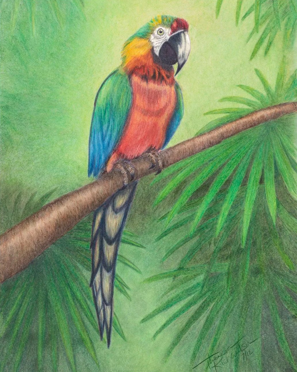 Parrot+16X20+WC.jpg