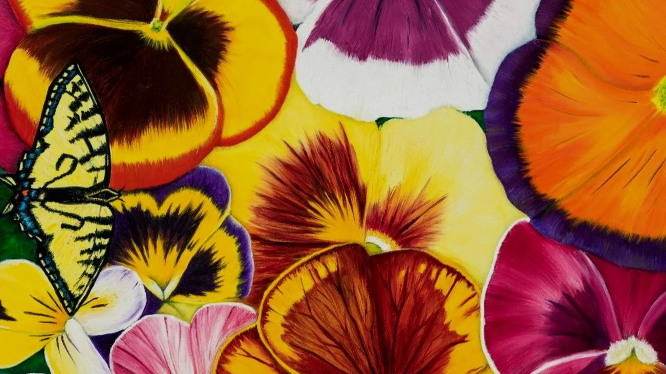 Pansies 24X20 WC.jpg