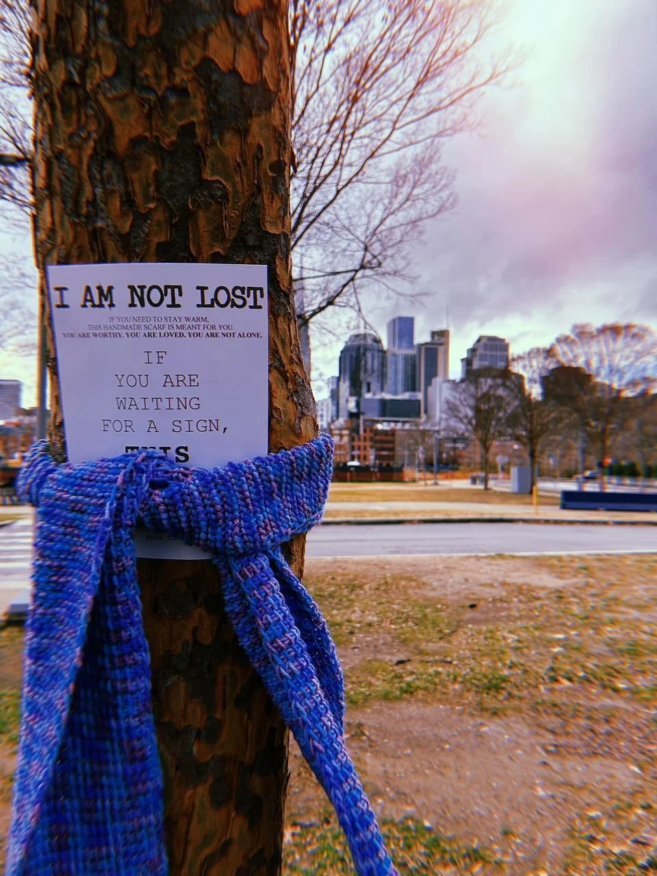 I Am Not Lost Scarves