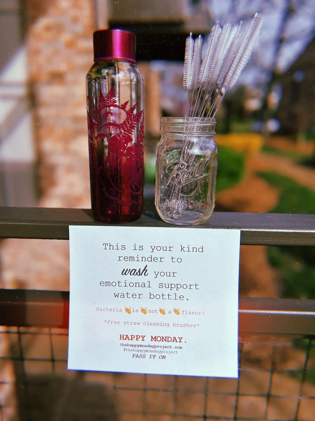 Emotional Support Water Bottle