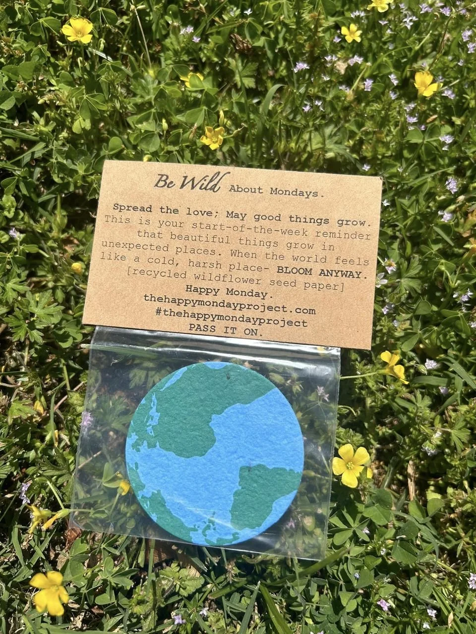Wildflower Seed Paper Earths