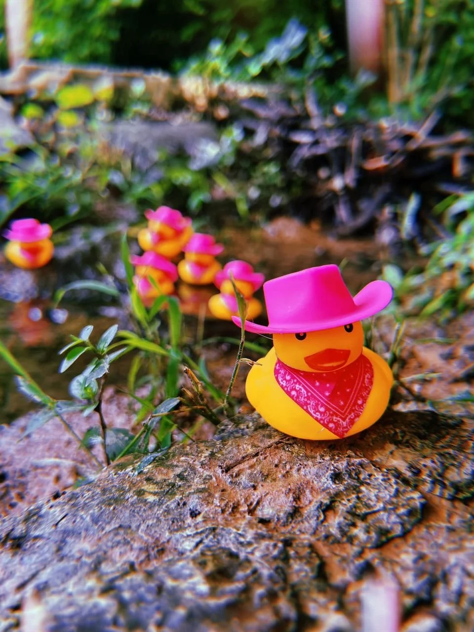 Giddy Up- It's Monday!