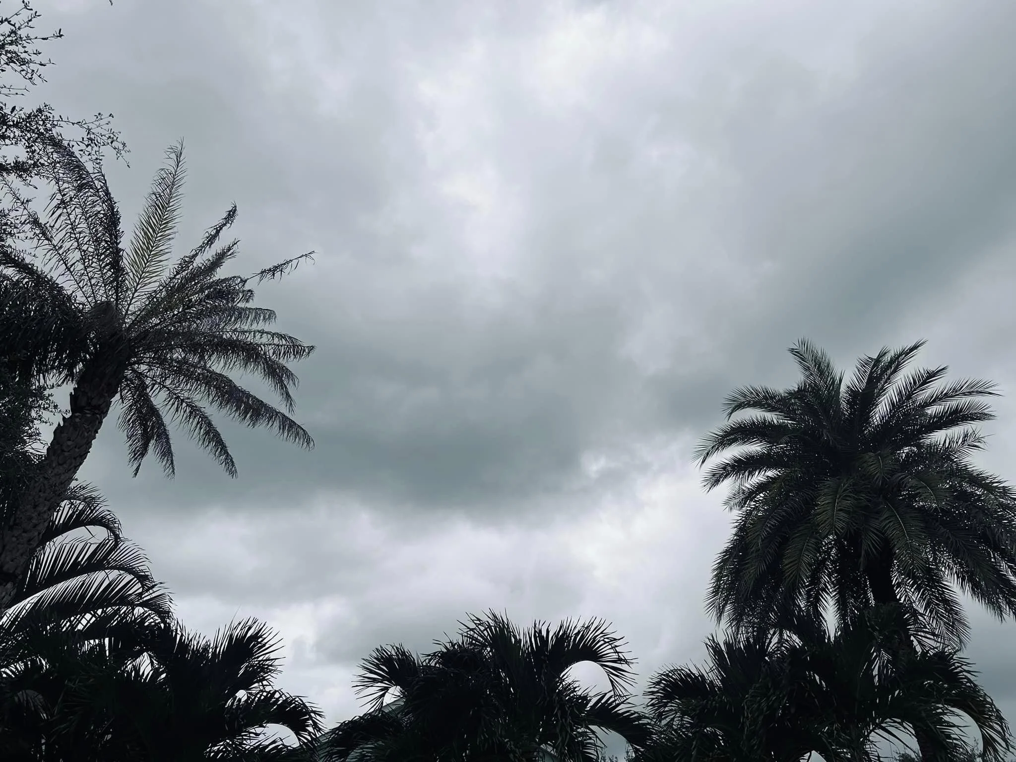 A Glimmer of Hope in the Storm