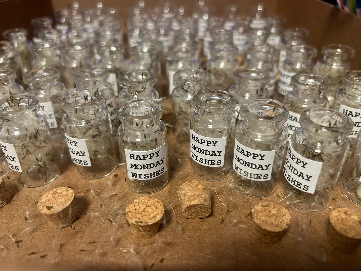  That’s the kind of magic the world forgets when it starts filing taxes and ignoring sunsets.