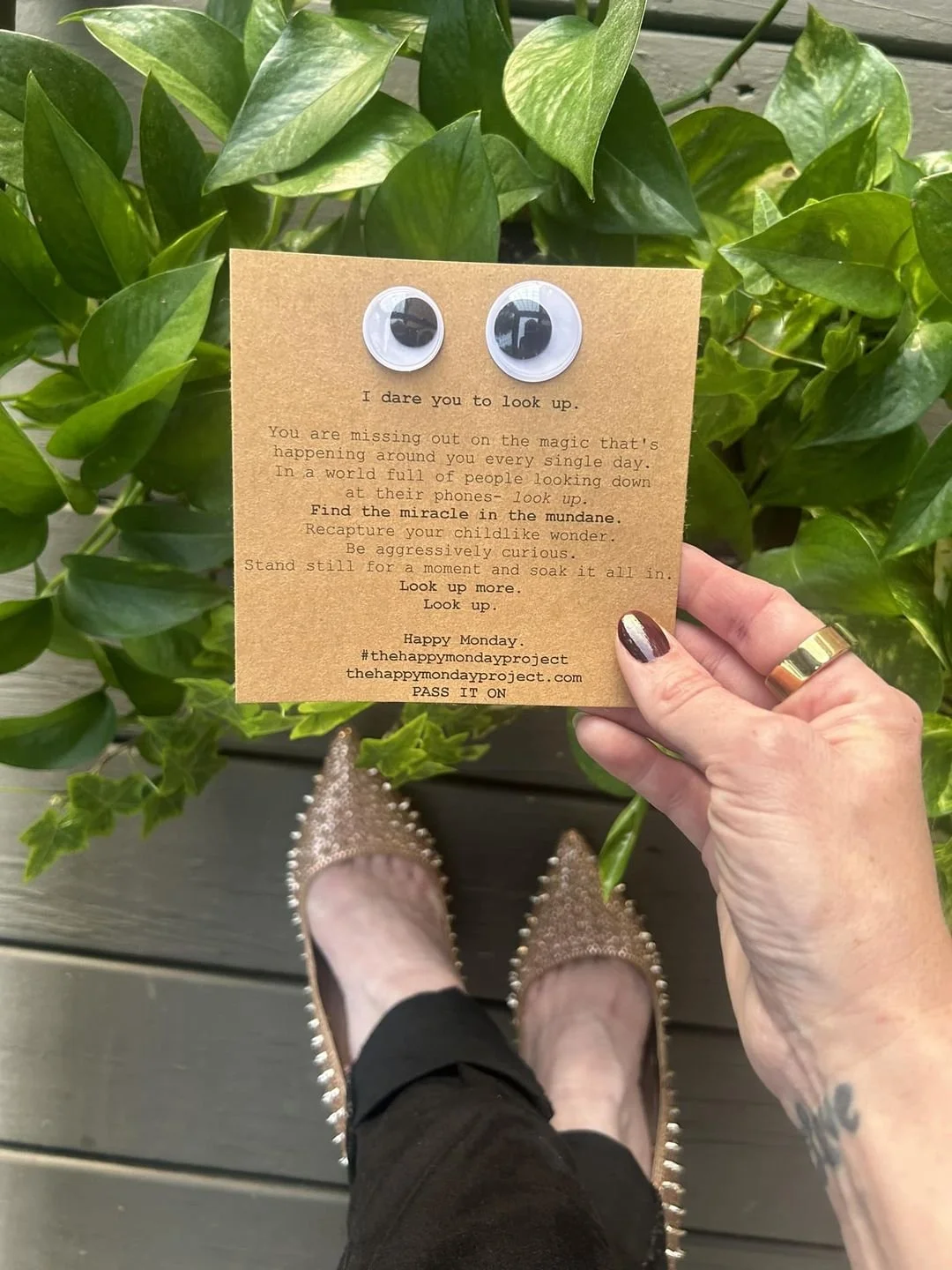 I Dare You to Look Up