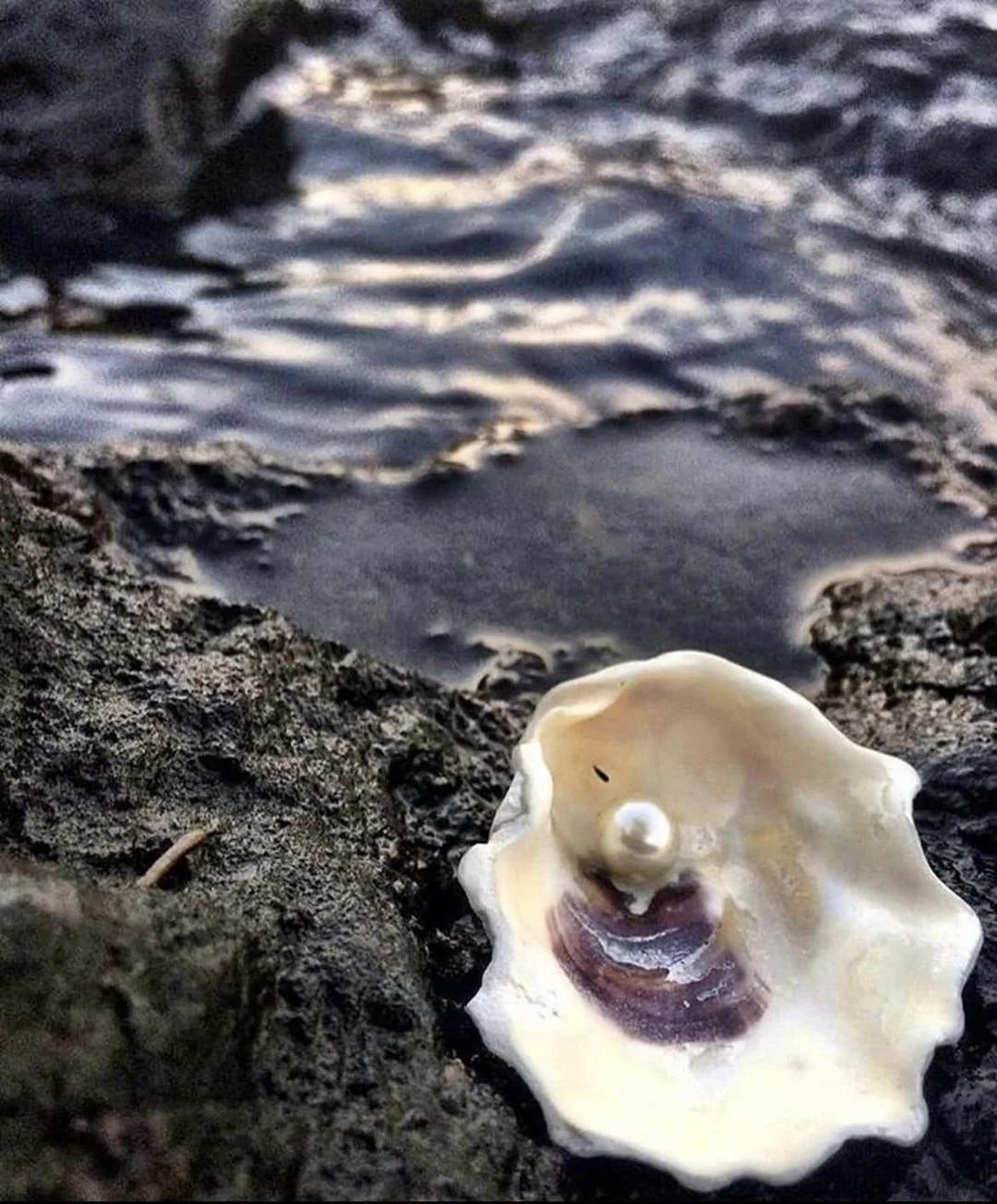 Turn Your Mondays into Pearls