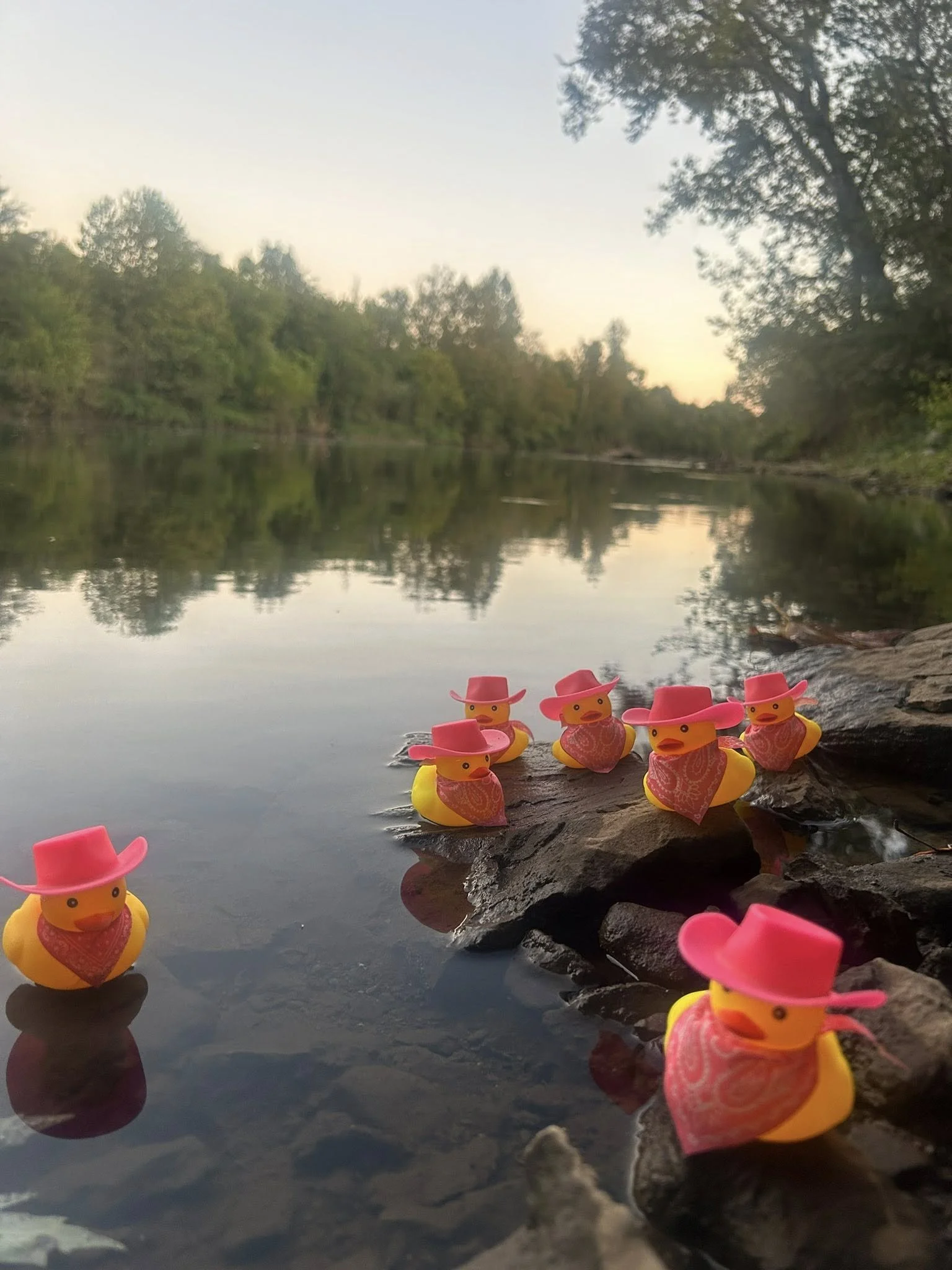 Giddy up- It's Monday!