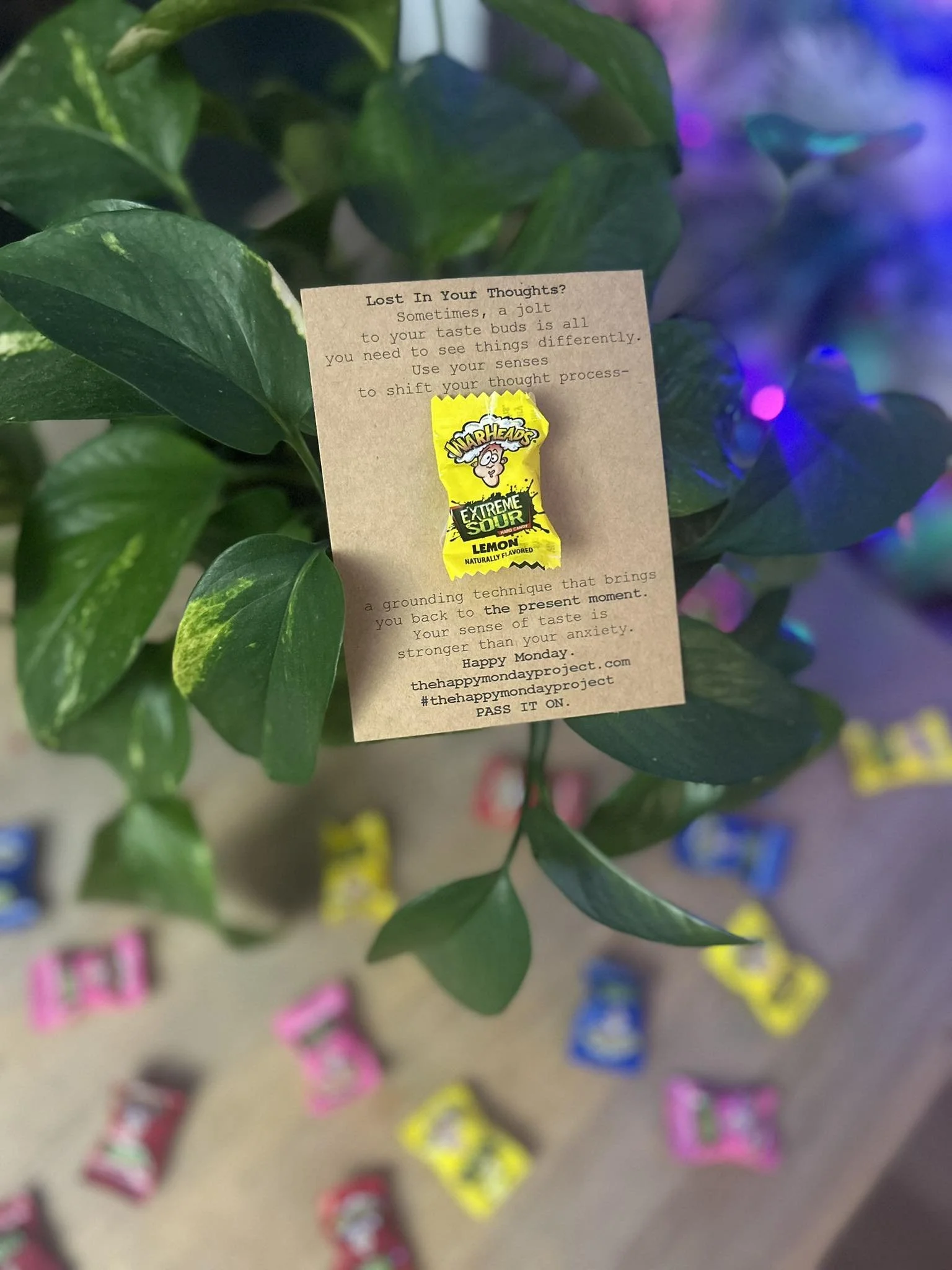 A Jolt To Your Tastebuds