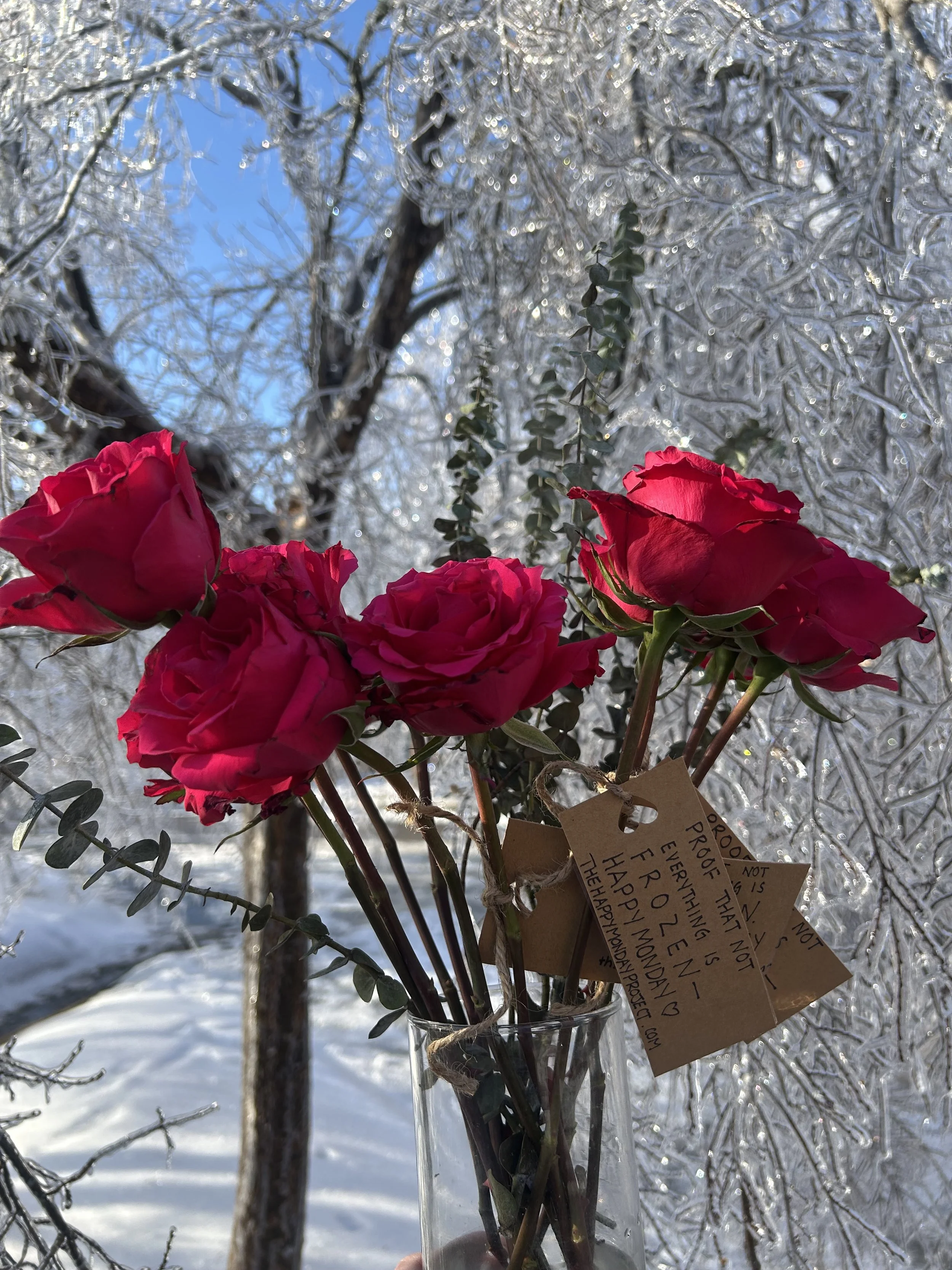 Proof That Not Everything Is Frozen