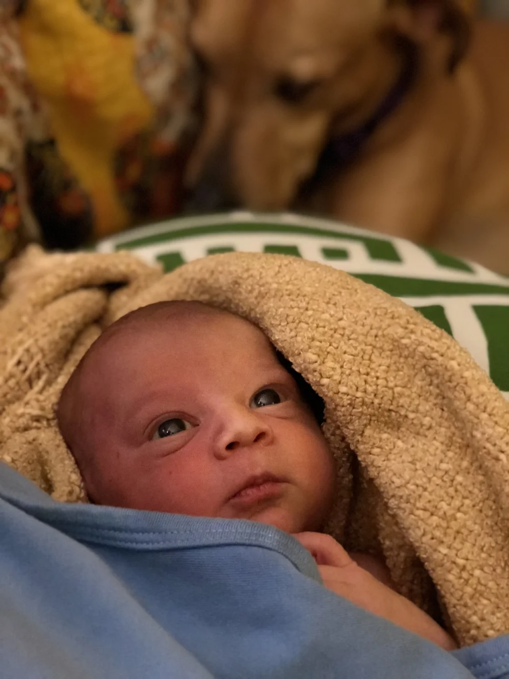 Remi Hendrix Rogers Swanson