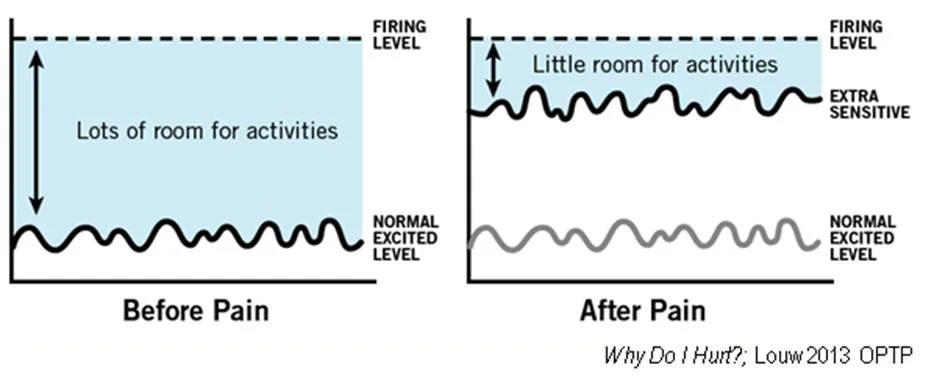 11 Questions with Adriaan Louw