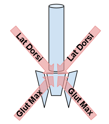 Force Coupling for the Lumbo-Pelvic-Hip-Complex