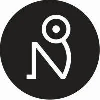 NOI - Mobilisation of the Nervous System