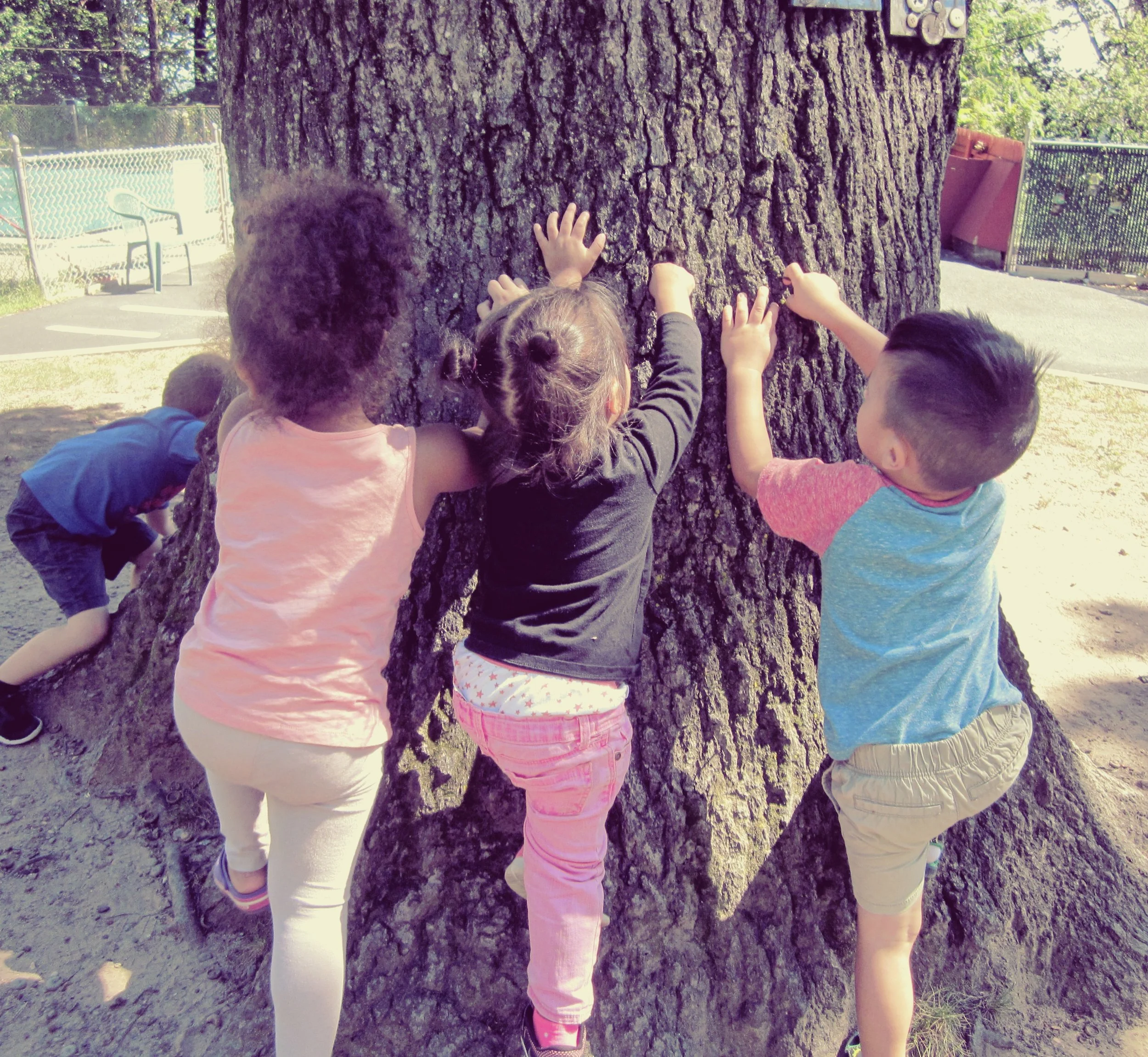 Nature enhances curiosity and creativity to explore and experience life. At Jin-A Child Care Center during outdoor free play. 