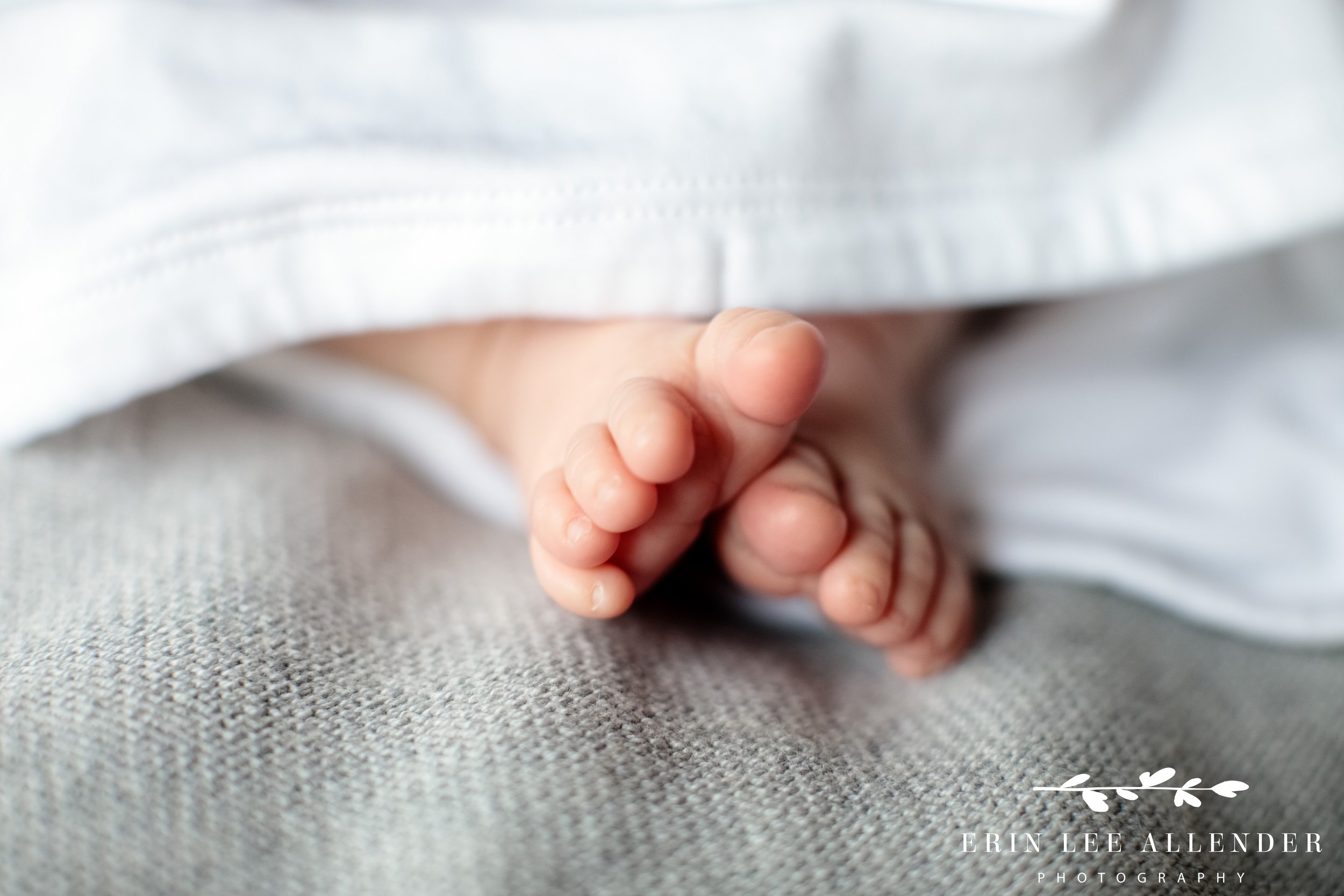 Close-up of newborn baby’s tiny toes during an in-home Nashville family photography session.