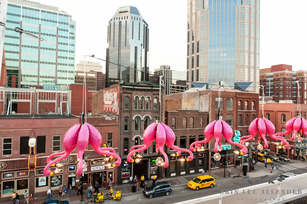 Flamingo_Lights_Broadway