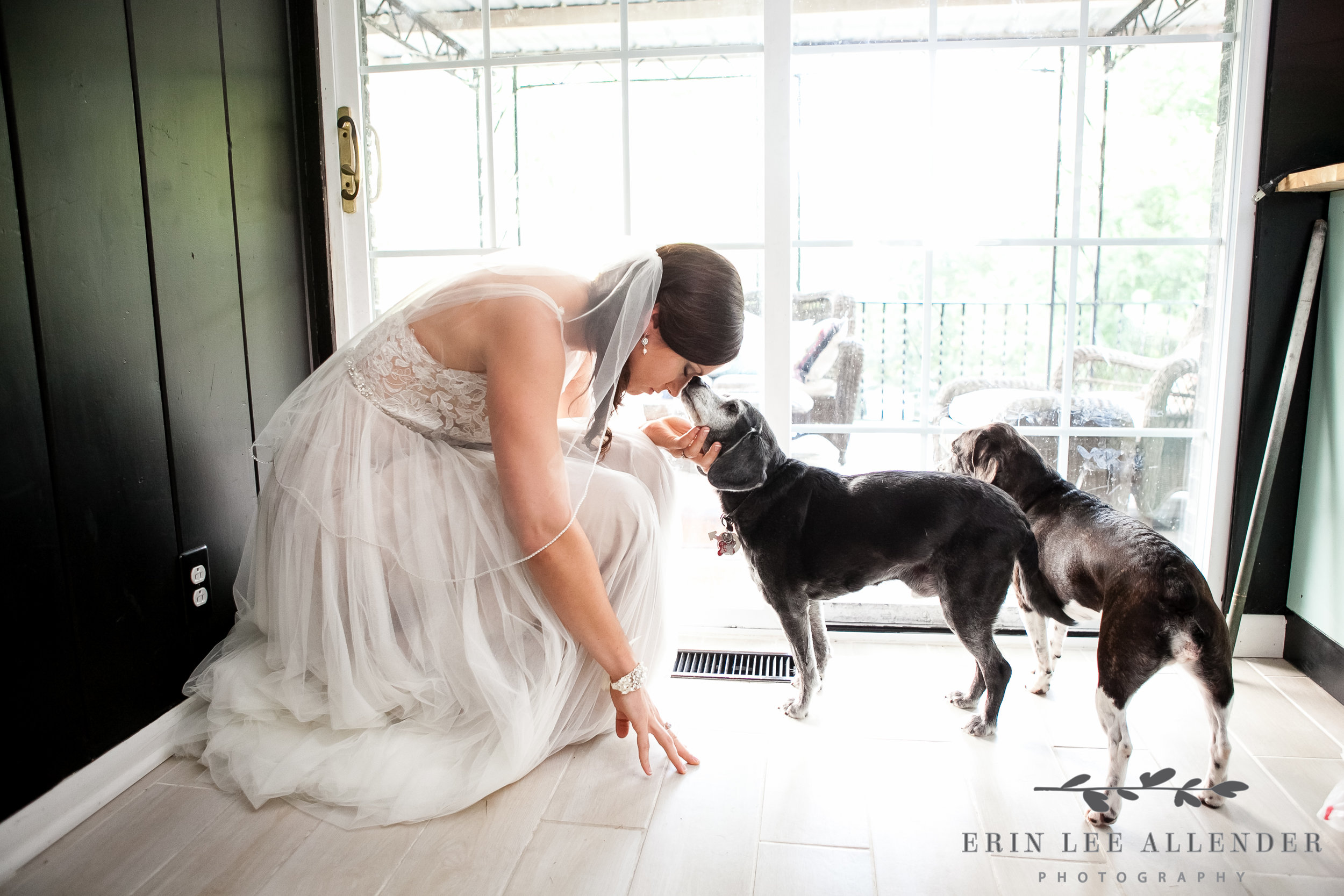 Bride_With_Dogs