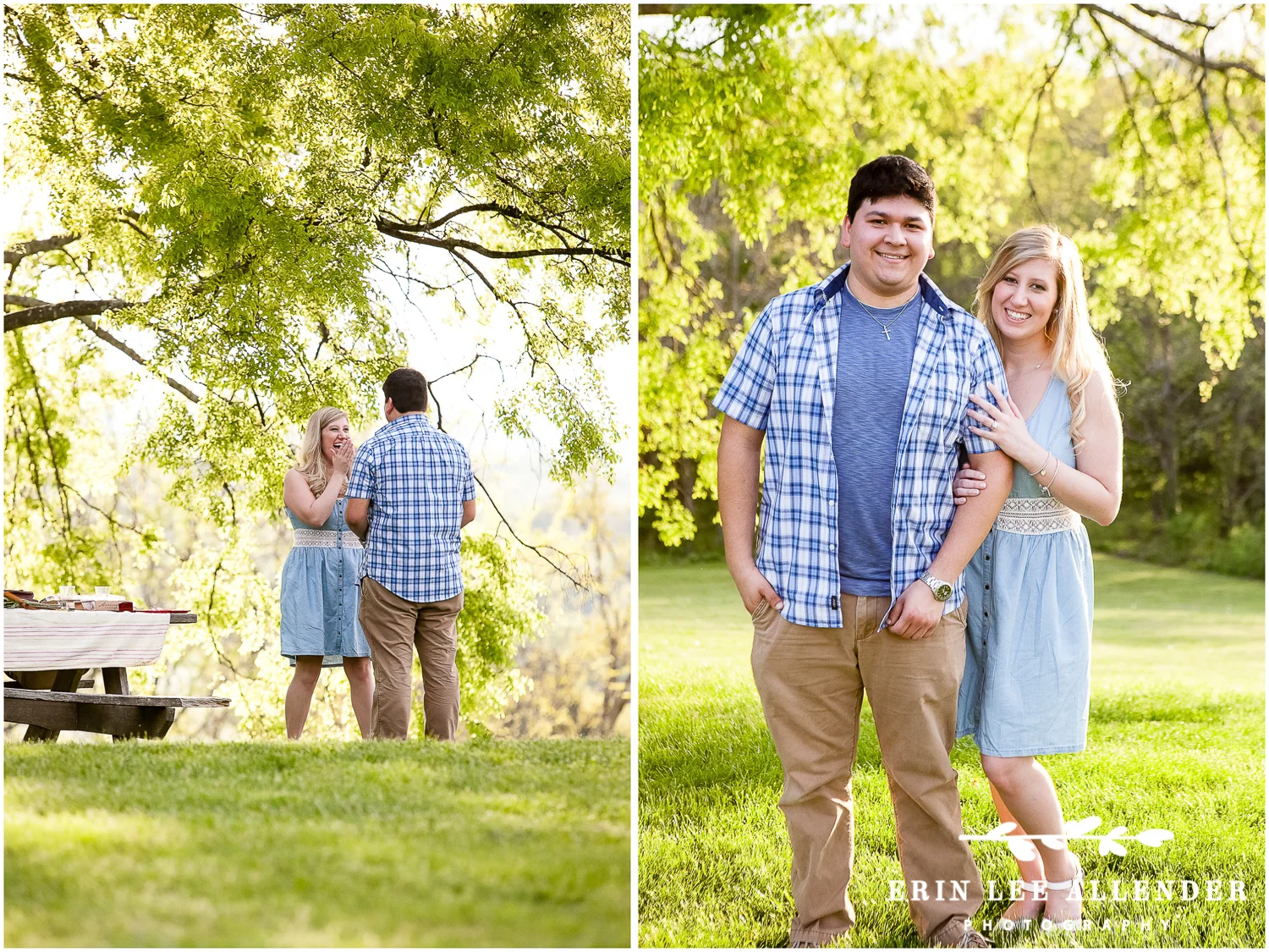 Vineyard_Proposal